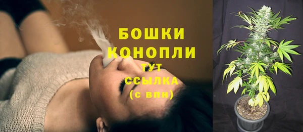 молекула духа Дмитриев