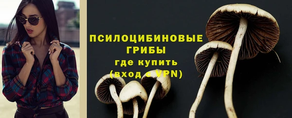 молекула духа Дмитриев