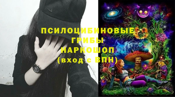 молекула духа Дмитриев