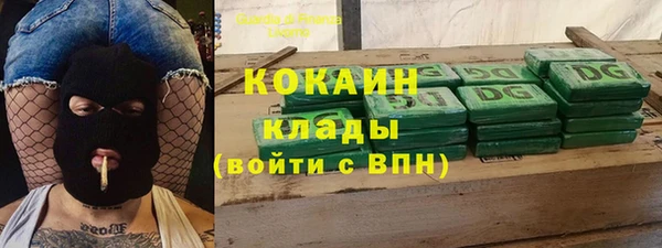 молекула духа Дмитриев