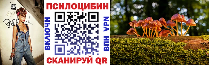 Галлюциногенные грибы ЛСД  купить  сайты  Плёс 